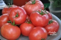Pomidorai mažyliams